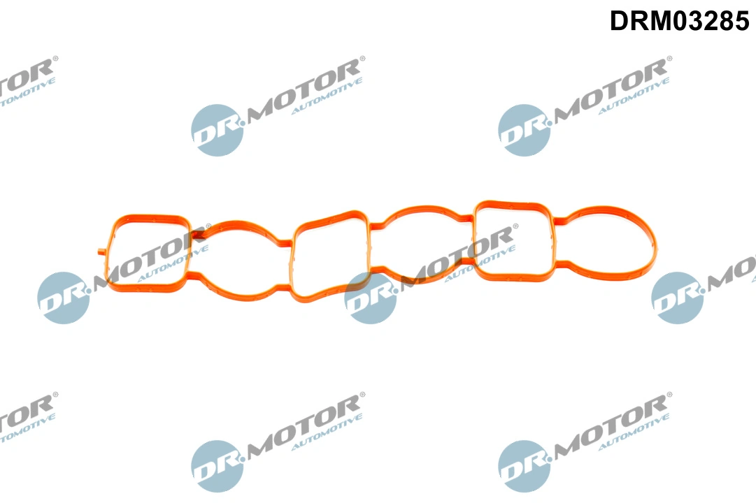 Gasket, intake manifold